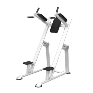 aparato para fondos peso libre Maquinas de ejercicios equipos para gimnasio bunker fitness cdmx